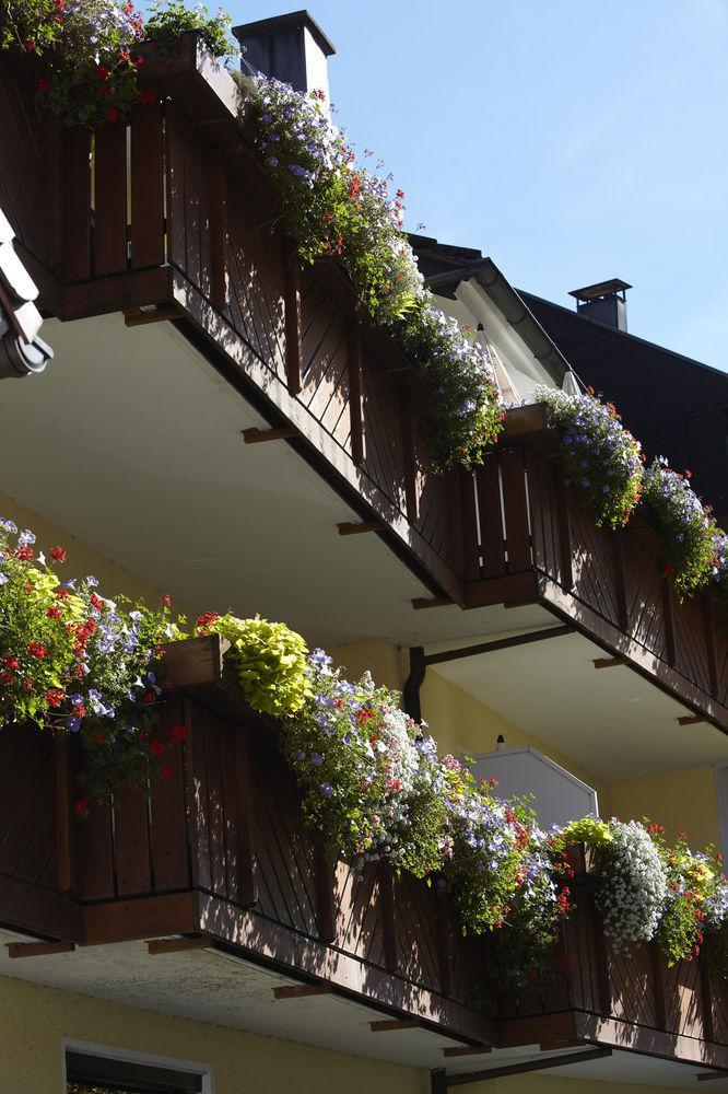 Hotel Garni Café Räpple Bad Peterstal-Griesbach Esterno foto